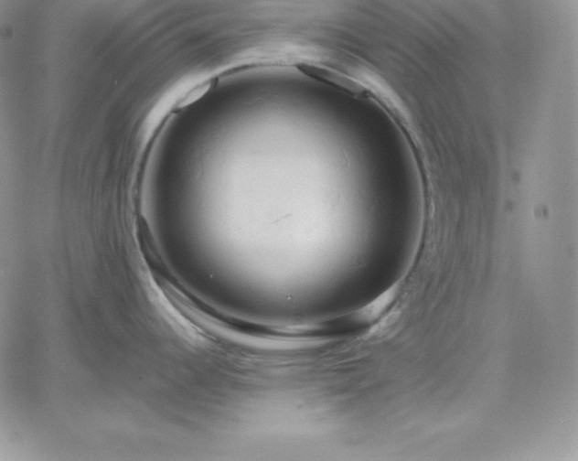 X0000061741344200512091601