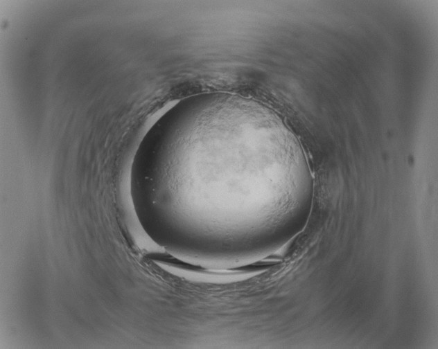 X0000061741345200512091600