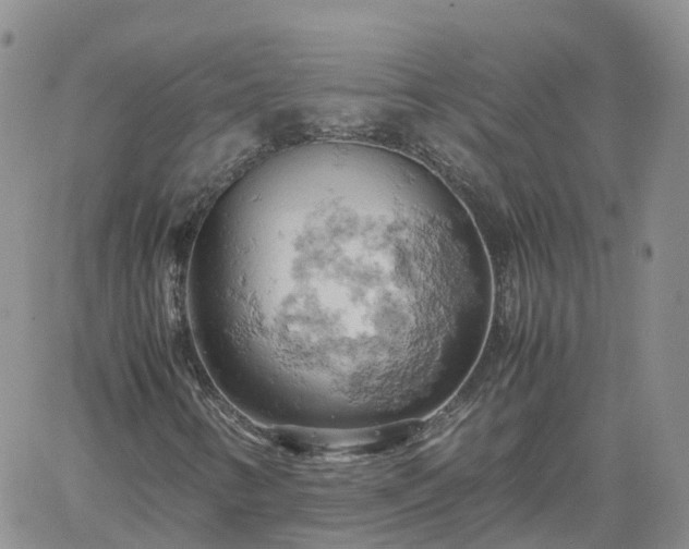 X0000061741346200512091600