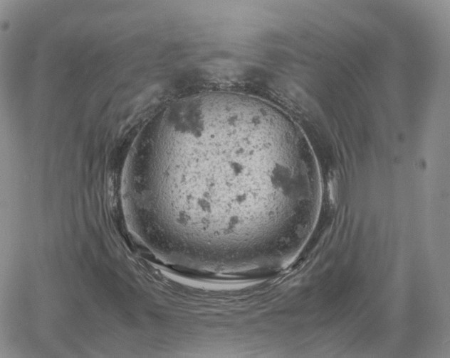 X0000061741347200512091600