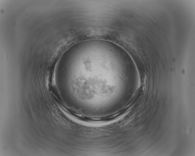 X0000061741348200512091600