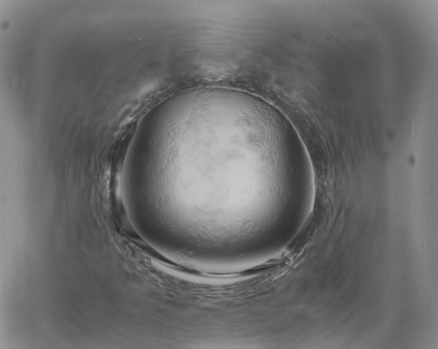 X0000061741349200512091600