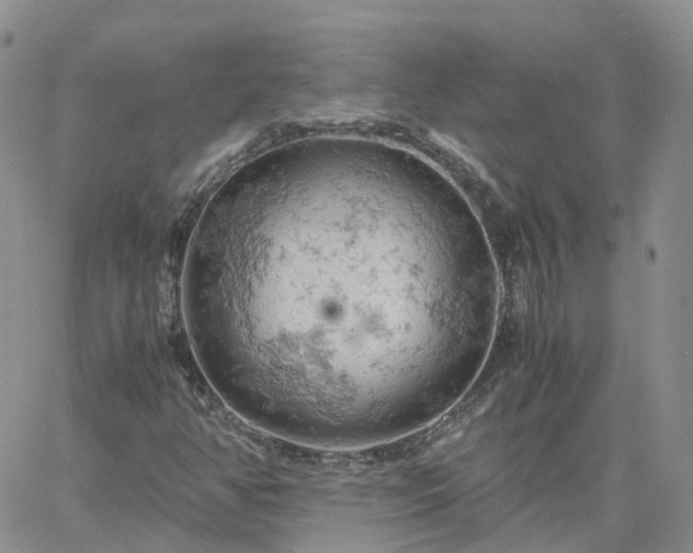 X0000061741350200512091600