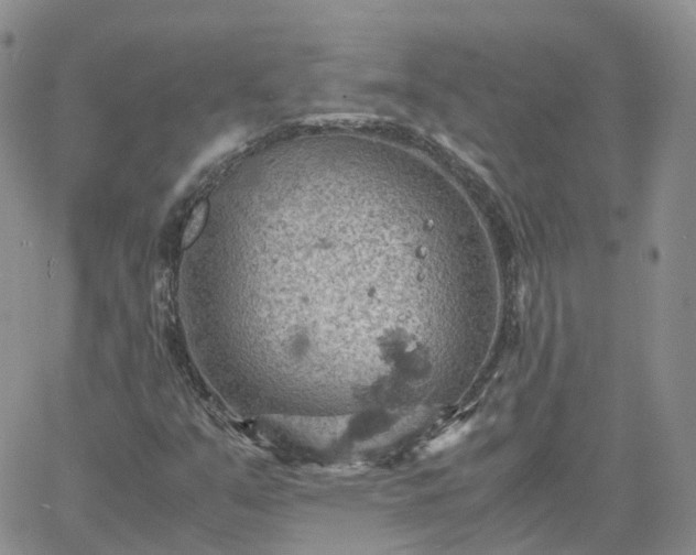 X0000061741351200512091600