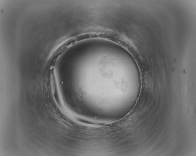 X0000061741352200512091600