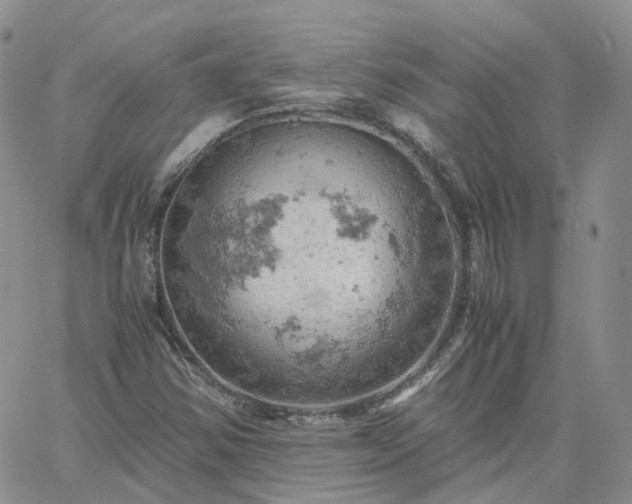 X0000061741354200512091600