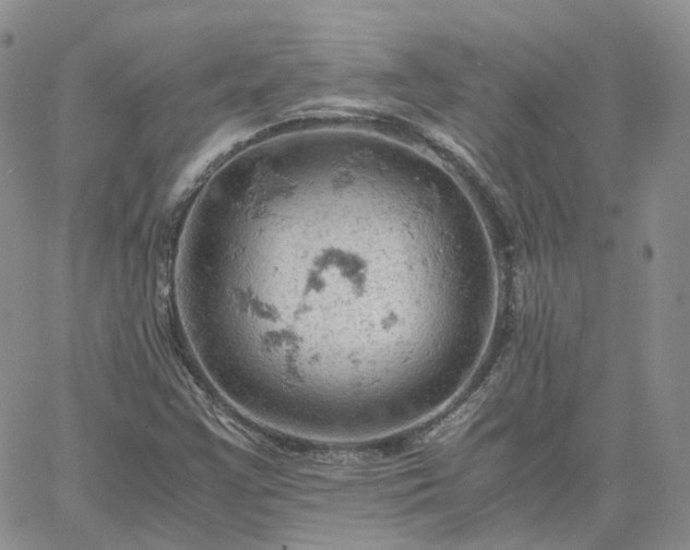 X0000061741355200512091600