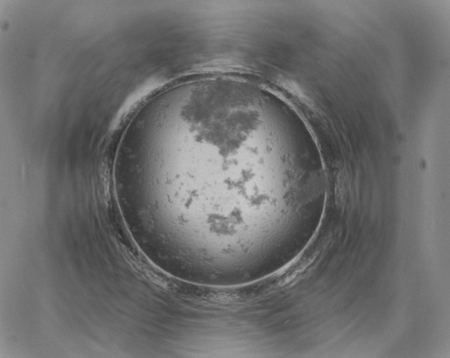 X0000061741358200512091600