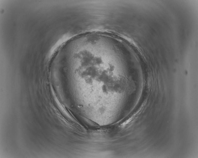 X0000061741359200512091600