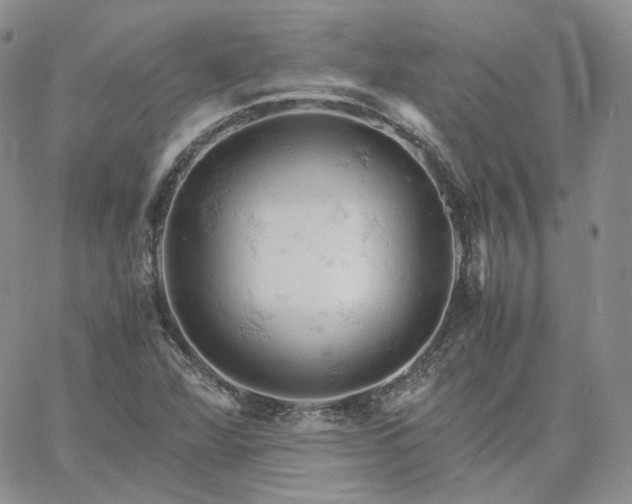 X0000061741360200512091600