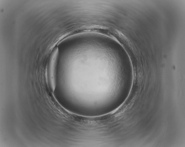 X0000061741361200512091600