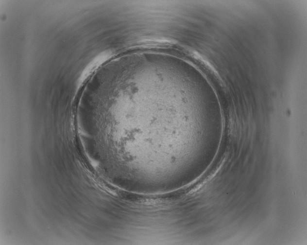 X0000061741362200512091600