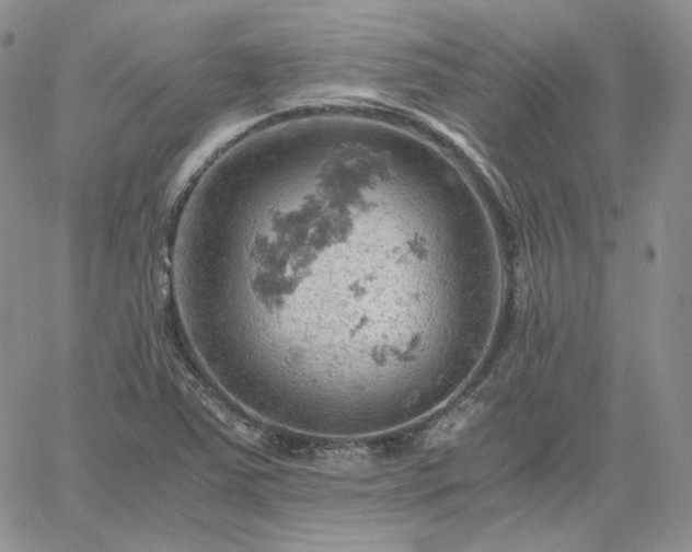 X0000061741363200512091600