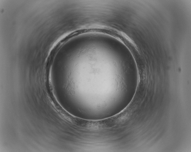 X0000061741364200512091600