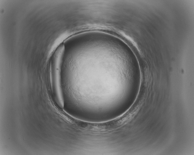 X0000061741365200512091600