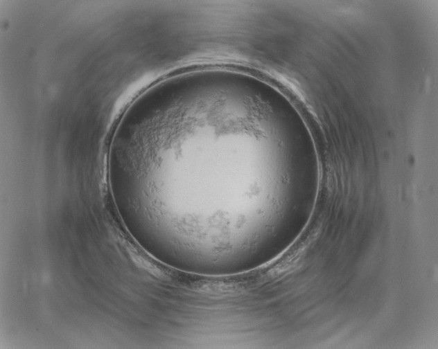 X0000061741366200512091600