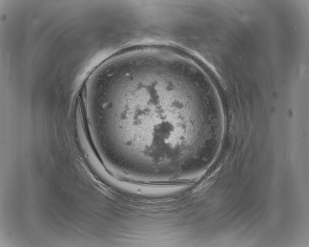 X0000061741367200512091600