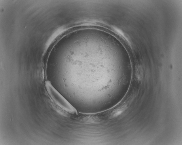 X0000061741368200512091600