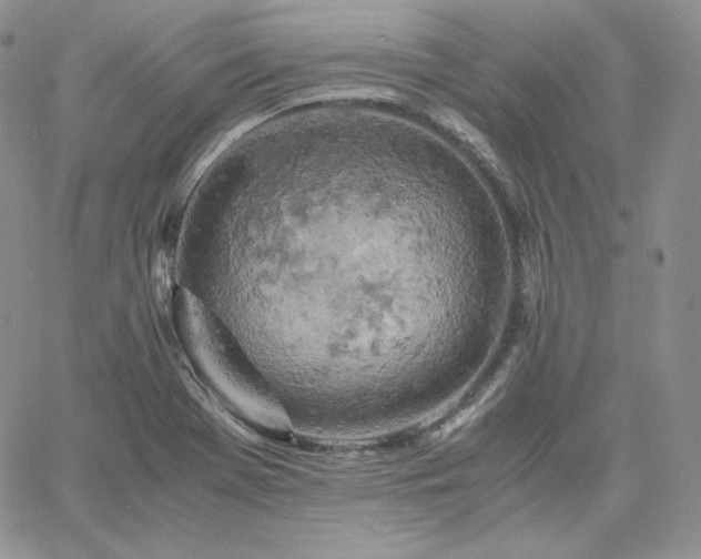 X0000061741369200512091600