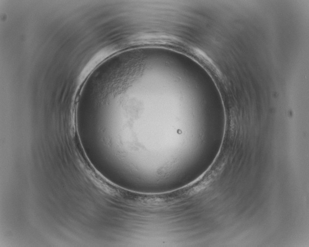 X0000061741370200512091600