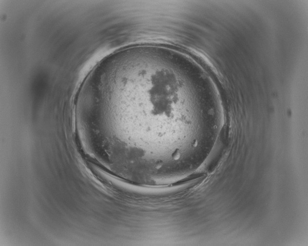 X0000061741371200512091600