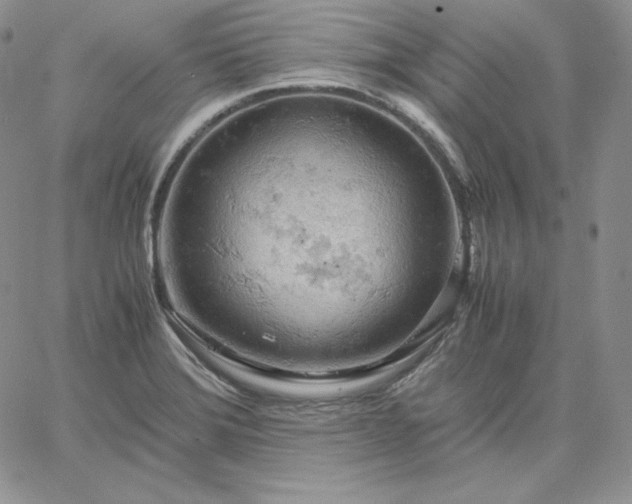 X0000061741372200512091559