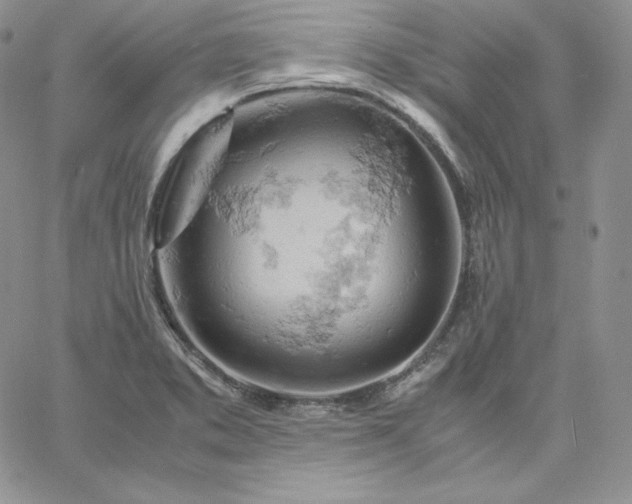 X0000061741373200512091559