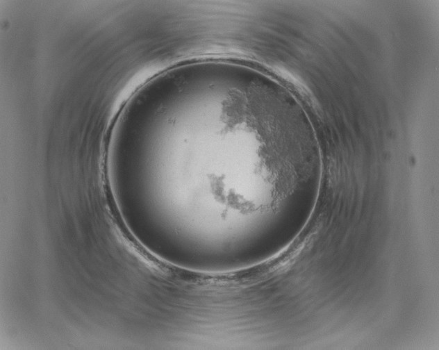 X0000061741374200512091559