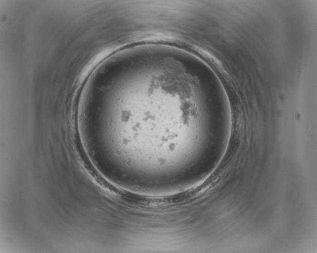 X0000061741375200512091559