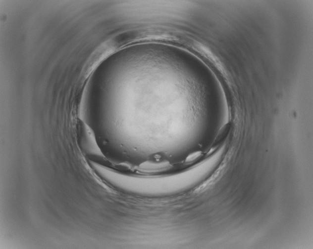 X0000061741377200512091559