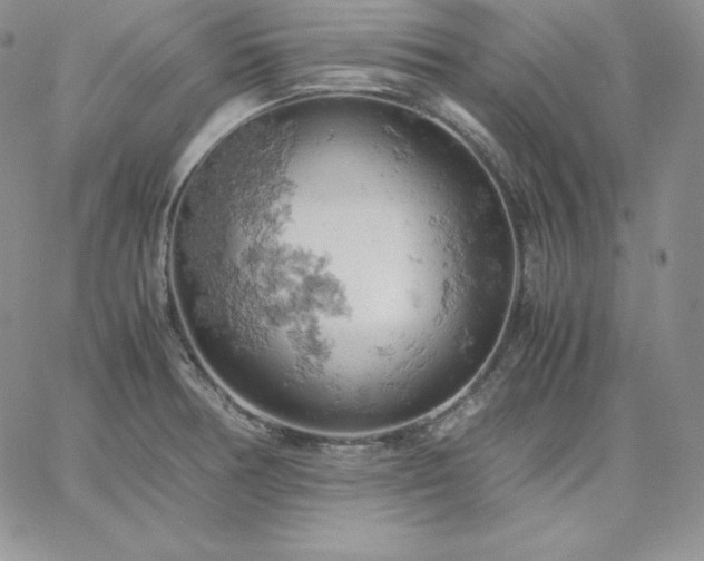 X0000061741378200512091559