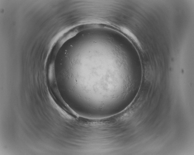 X0000061741380200512091559