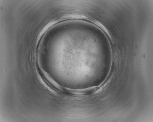 X0000061741381200512091559