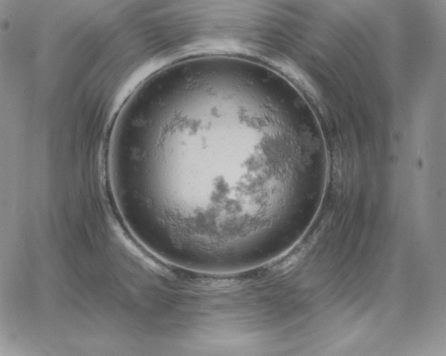 X0000061741382200512091559