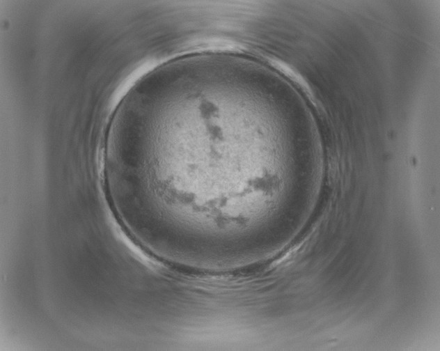 X0000061741383200512091559