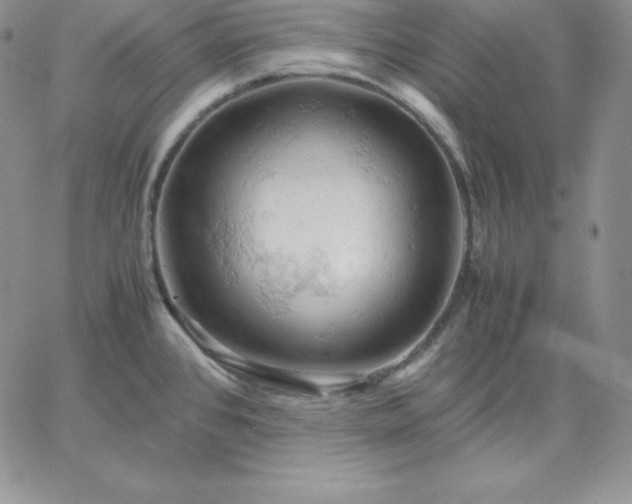 X0000061741384200512091559