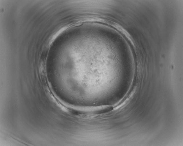 X0000061741385200512091559