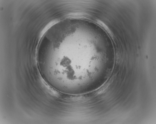 X0000061741386200512091559