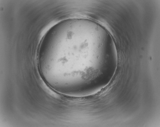 X0000061741387200512091559