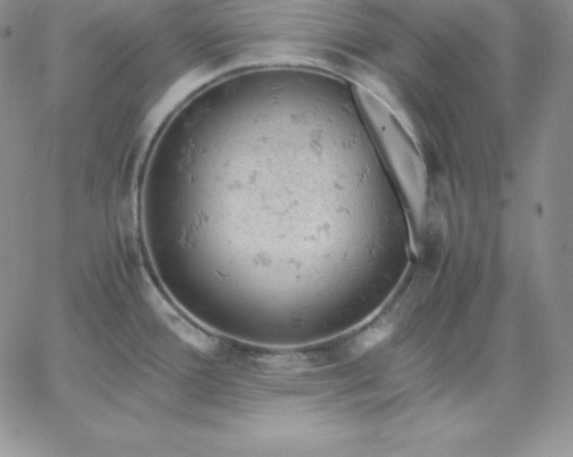 X0000061741388200512091559