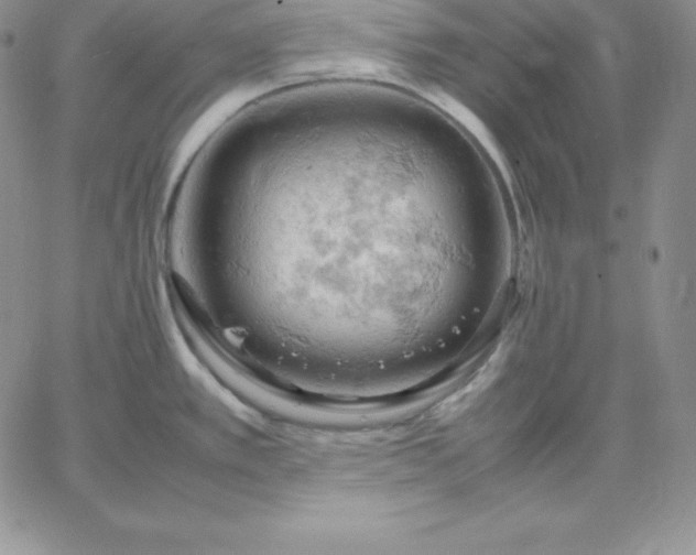 X0000061741389200512091559