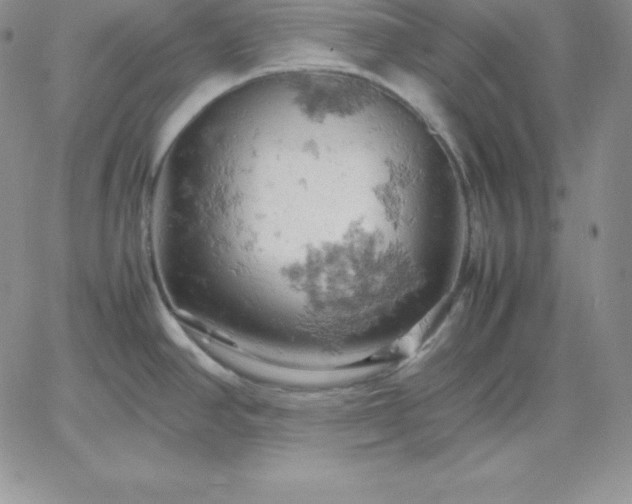 X0000061741390200512091559