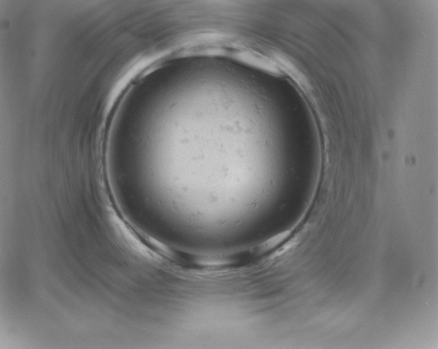 X0000061741392200512091559