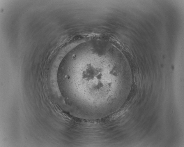 X0000061741393200512091558