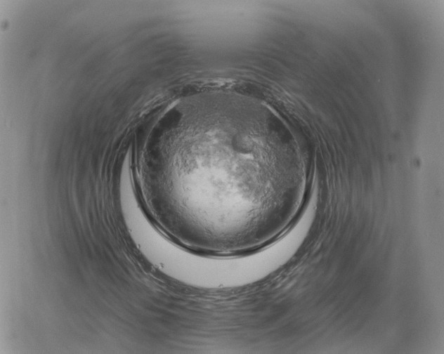 X0000061741394200512091558