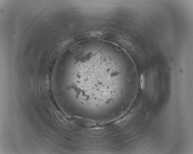 X0000061741395200512091558