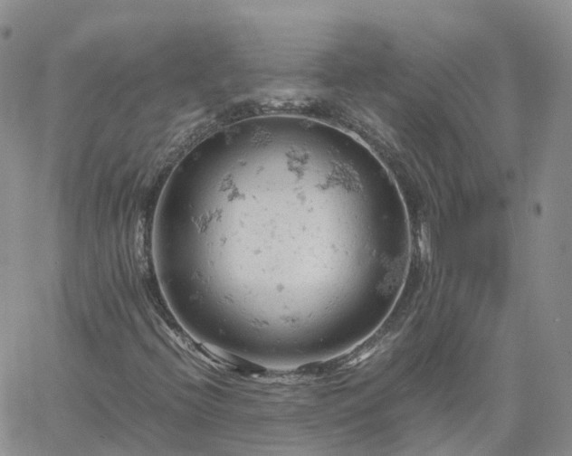 X0000061741396200512091558