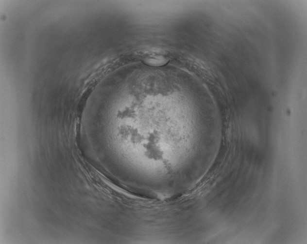 X0000061741397200512091558