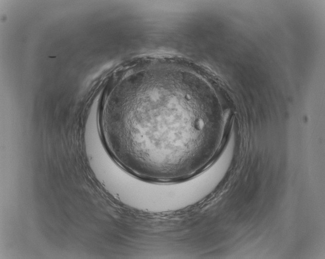 X0000061741398200512091558