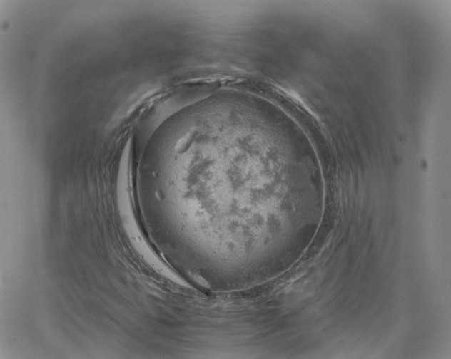 X0000061741399200512091558